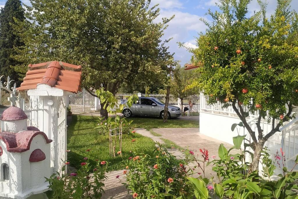 Vasiliki'S Guest House Vergia Exterior photo