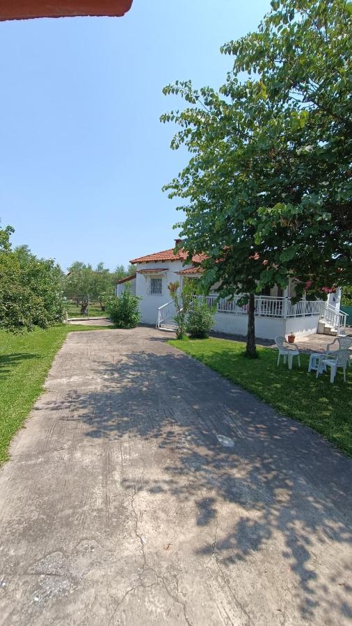 Vasiliki'S Guest House Vergia Exterior photo